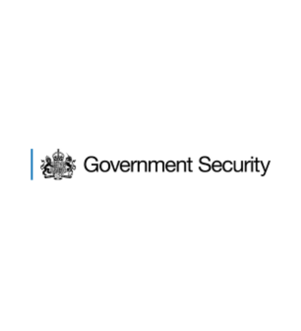 Government Security Group
